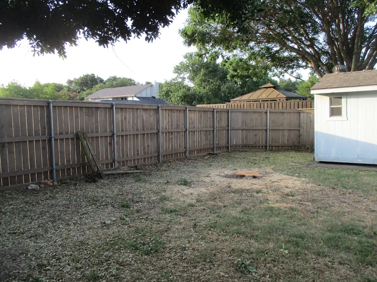 Cleared yard after professional tree removal in Bouckville
